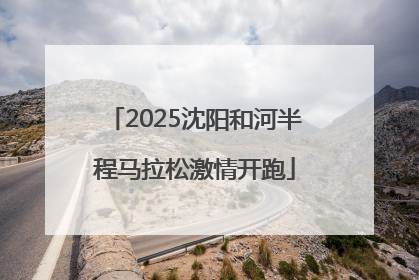 2025沈阳和河半程马拉松激情开跑