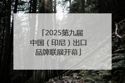 2025第九届中国（印尼）出口品牌联展开幕
