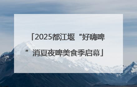 2025都江堰“好嗨啤”消夏夜啤美食季启幕