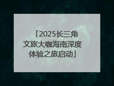 2025长三角文旅大咖海南深度体验之旅启动