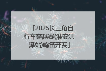 2025长三角自行车穿越赛(淮安洪泽站)鸣笛开赛
