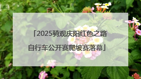 2025骑观庆阳红色之路自行车公开赛爬坡赛落幕