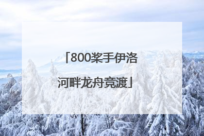 800桨手伊洛河畔龙舟竞渡