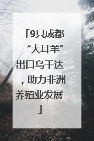 9只成都“大耳羊”出口乌干达，助力非洲养殖业发展