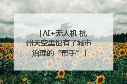 AI+无人机 杭州天空里也有了城市治理的“帮手”