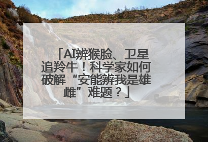 AI辨猴脸、卫星追羚牛！科学家如何破解“安能辨我是雄雌”难题？