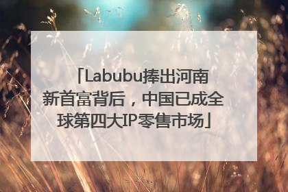 Labubu捧出河南新首富背后，中国已成全球第四大IP零售市场